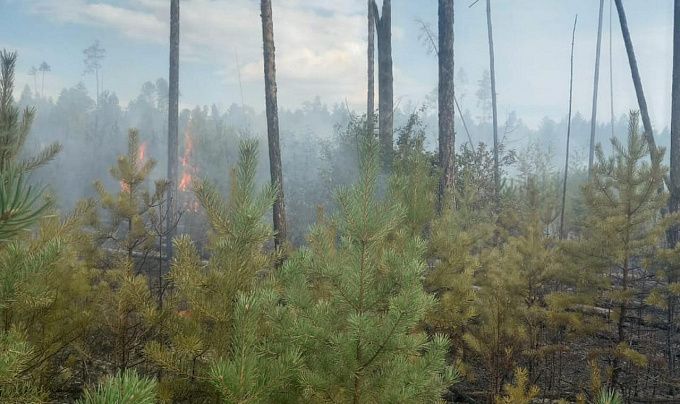 В Бурятии из-за сухих гроз возникли три лесных пожара