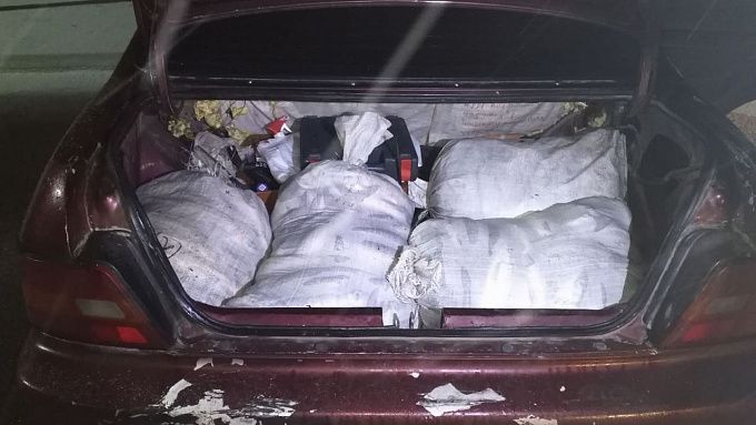 «Нашла у рыбзавода»: В Улан-Удэ у таксистки обнаружили омуль на 4 миллиона