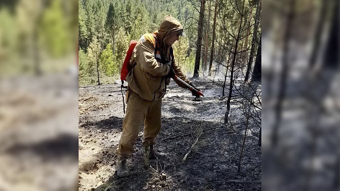 Больше 70 человек спасают тайгу от огня в Бурятии