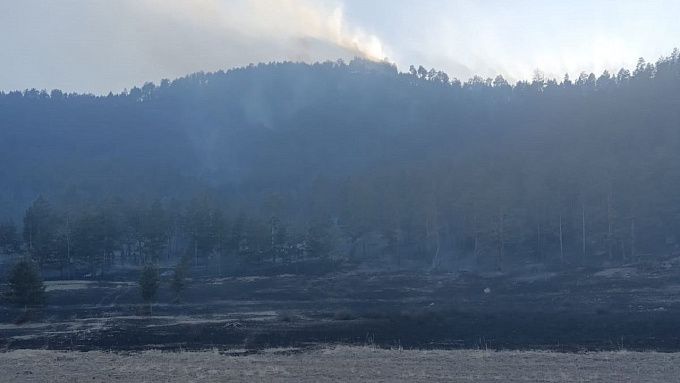В Бурятии тушат пожар в лесу, возникший по вине человека