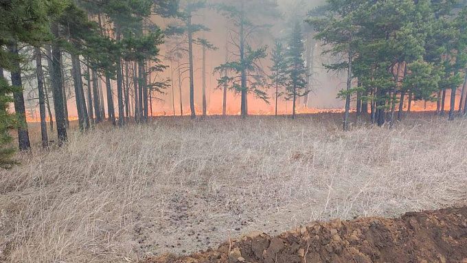 В Бурятии от пожаров пострадало больше 14 тысяч гектаров леса