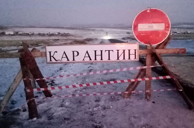 По Бурятии распространяется заразное заболевание скота