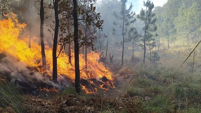 Лесной пожар из-за обрыва ЛЭП произошел в Улан-Удэ