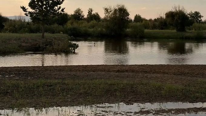 «Унесло течением»: стали известны подробности гибели 10-летней девочки в Бурятии