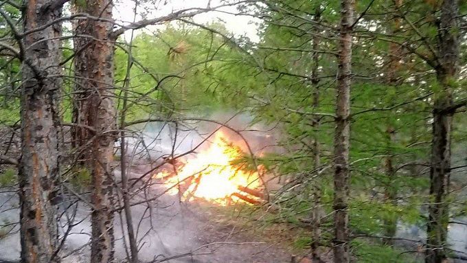 В Бурятии тушат 16 лесных пожаров