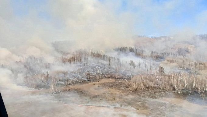 200 гектаров леса горят в районе Бурятии