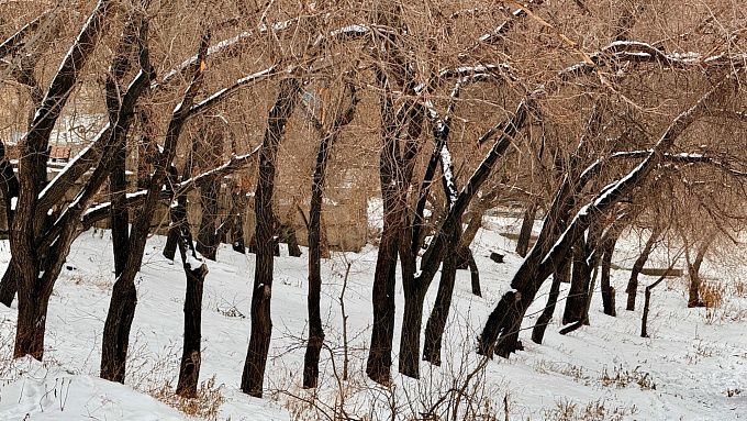 40-градусные морозы надвигаются на Бурятию