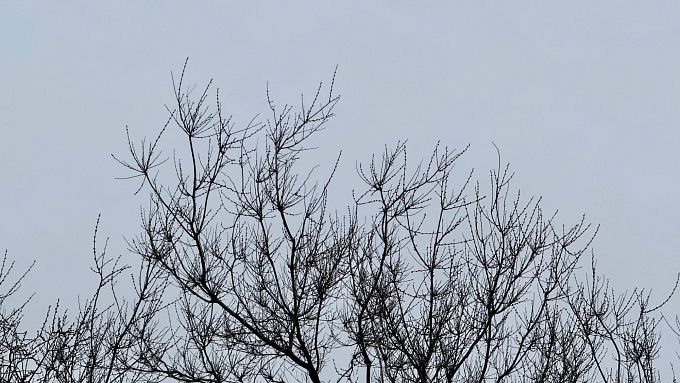 Снег и ветер ожидаются в Бурятии