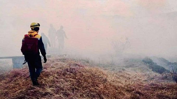 В Бурятии 12 лесных пожаров уничтожают тайгу