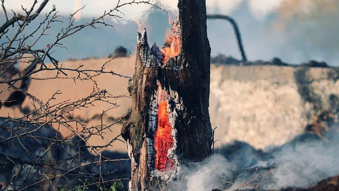Штраф от 300 тысяч или «уголовка»: В Бурятии виновникам лесных пожаров ужесточили наказание
