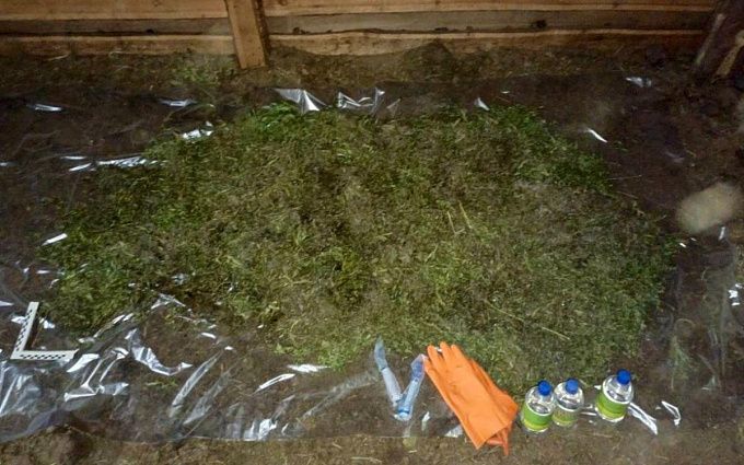 Житель Бурятии попал под уголовную статью за незаконные заготовки