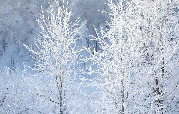 Морозы в Бурятии местами достигнут −50°