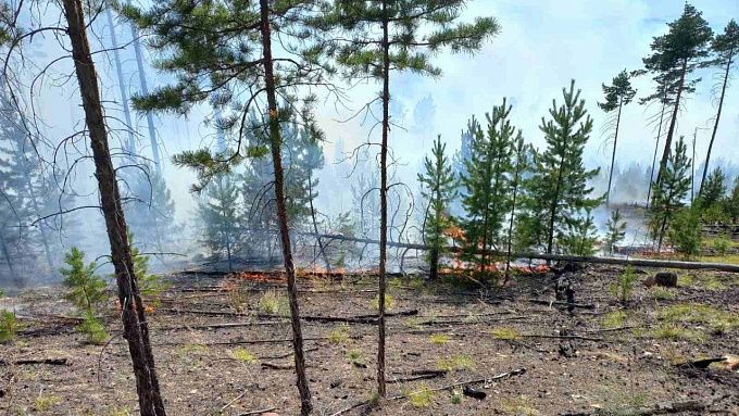 В Бурятии из-за неосторожного обращения с огнем возник лесной пожар
