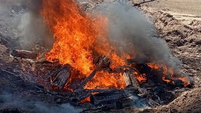В районе Бурятии сожгли останки коров, погибших при странных обстоятельствах