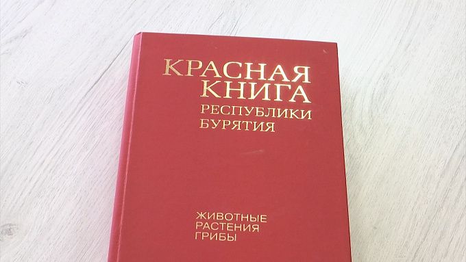 Даурского журавля внесли в Красную книгу Бурятии