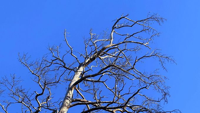 Тёплая погода до +8 задержится в Бурятии ещё на сутки 