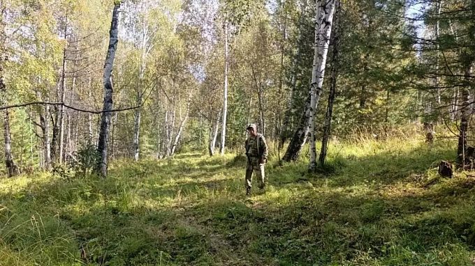 Жителей Бурятии просят не провоцировать медведей мусором и останками скота
