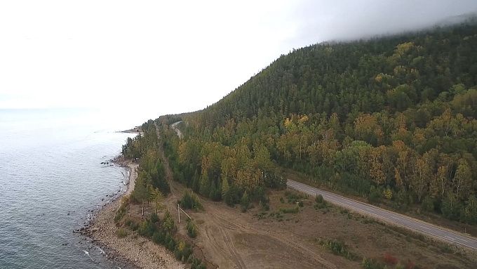 Изменения против сплошных рубок на Байкале внесут в Лесной кодекс 