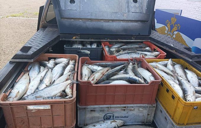 В Бурятии забрали у браконьеров 4 тонны омуля