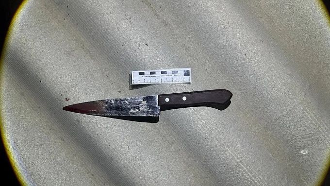 Жительница Бурятии метнула нож в мужчину и убила его