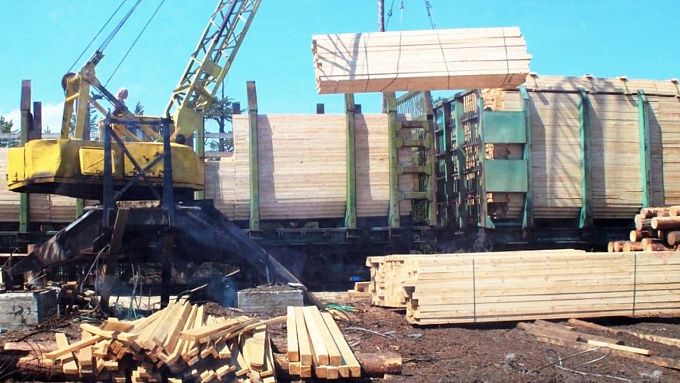 Бизнесмен из Бурятии незаконно вывез лес на 100 млн рублей