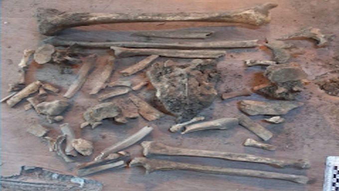 Кости, которые улан-удэнцы нашли под ванной, оказались человеческими