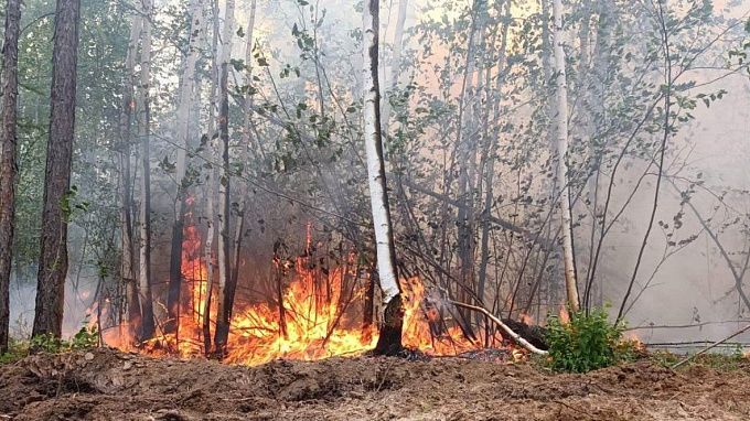 Еще 30 бойцов лесного спецназа Бурятии поедут тушить пожары в Якутию