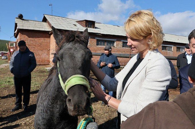 Забытый ипподром в Улан-Удэ получит второе дыхание