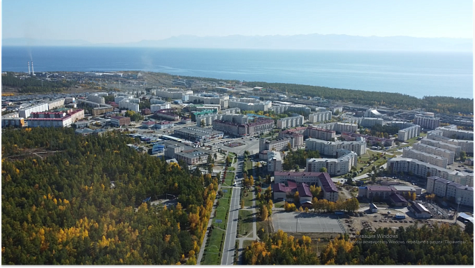 В Бурятии одобрили поправки в закон для урегулирования численности бакланов