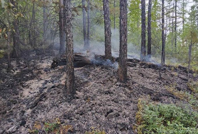 В лесах Бурятии усмиряли грозовой пожар