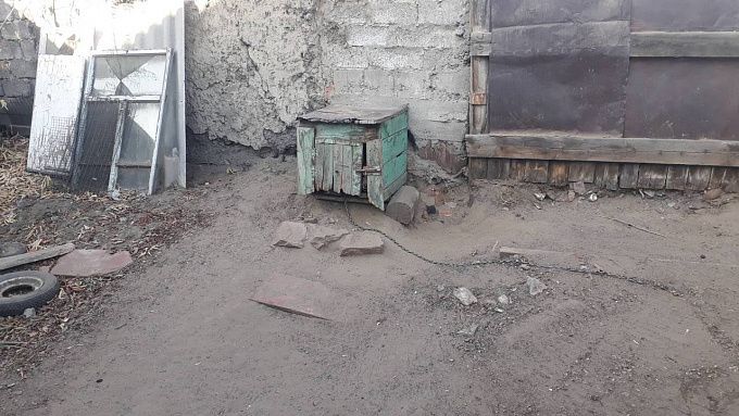 В Улан-Удэ собака сорвалась с цепи и напала на трех женщин