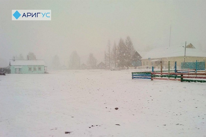 Майский снег. В Окинский район Бурятии заглянула зима (ФОТО, ВИДЕО)