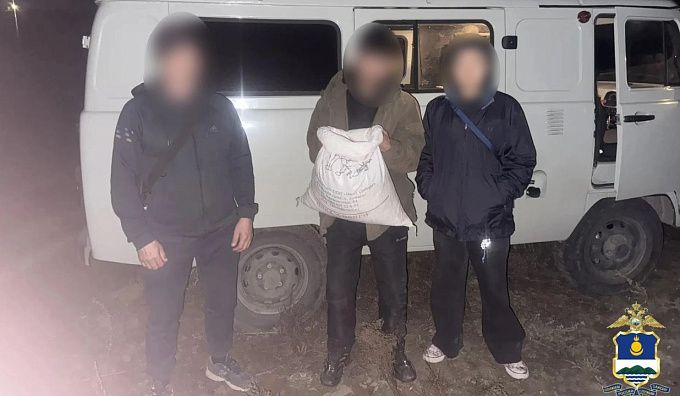 Житель Бурятии собрал в поле почти 2 кг наркотиков