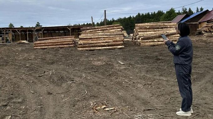 Лесопользователи Бурятии захламили свои склады