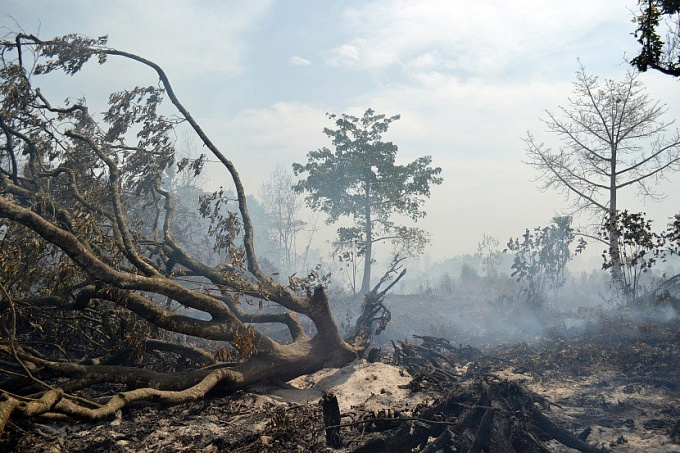 В нацпарке Бурятии наконец-то удалось локализовать лесной пожар