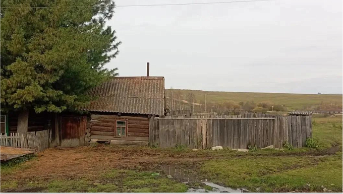 Медведь загрыз женщину на ее участке в Красноярском крае  