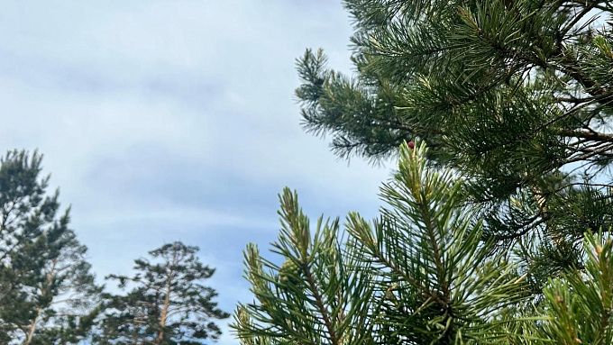 В Бурятии прогнозируют кратковременные дожди и грозы