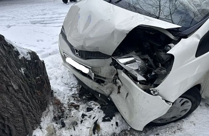 Водитель врезался в дерево на трассе в Бурятии
