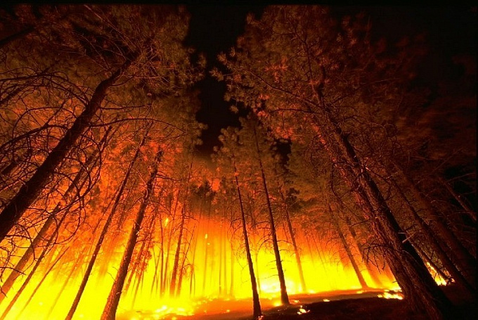 В Бурятии потушили два лесных пожара 