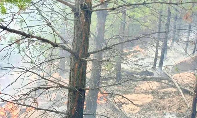 В районе Бурятии из-за человеческой беспечности вспыхнул лесной пожар