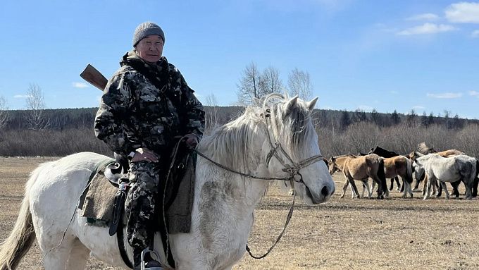 «Это были гастролеры»: скотник из Бурятии спас табун лошадей от хищников