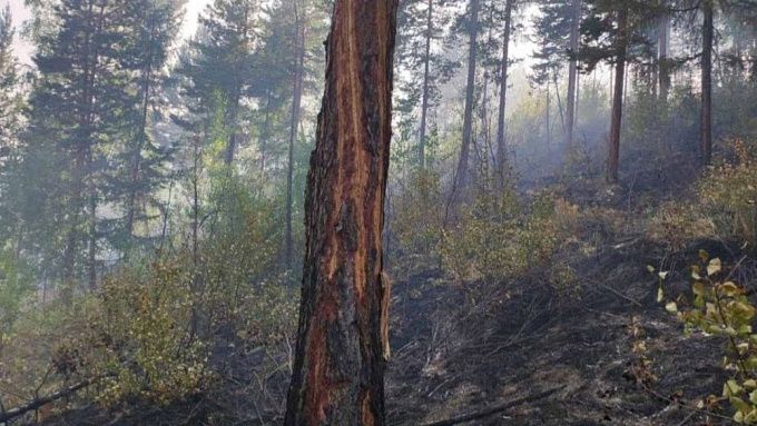 В Бурятии за сутки вспыхнули четыре лесных пожара