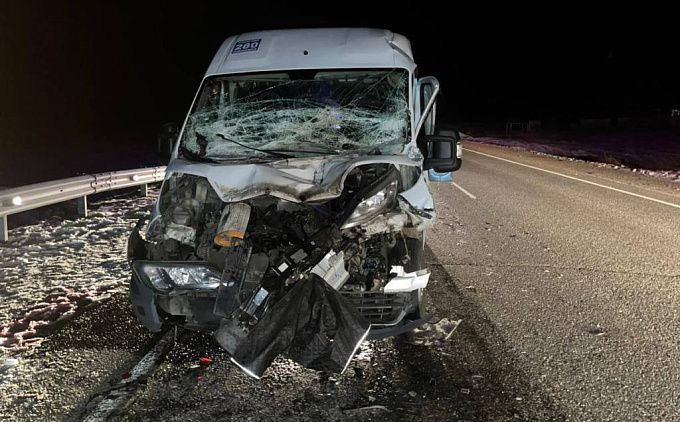 Пассажиры автобуса пострадали в ДТП с коровой и грузовиком на трассе в Бурятии