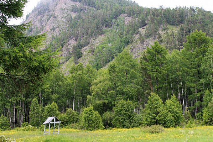 Прокуратура предложила ввести экологическую экспертизу проектов лесопользования на Байкале
