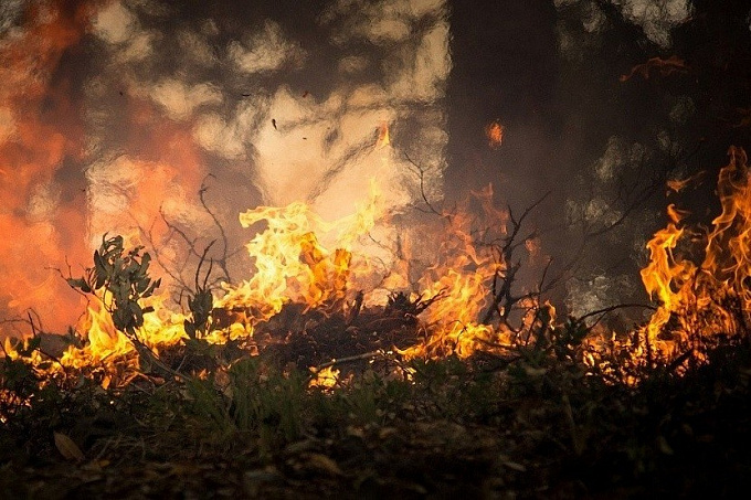 В Бурятии нарушителей противопожарного режима оштрафовали на 10 млн 