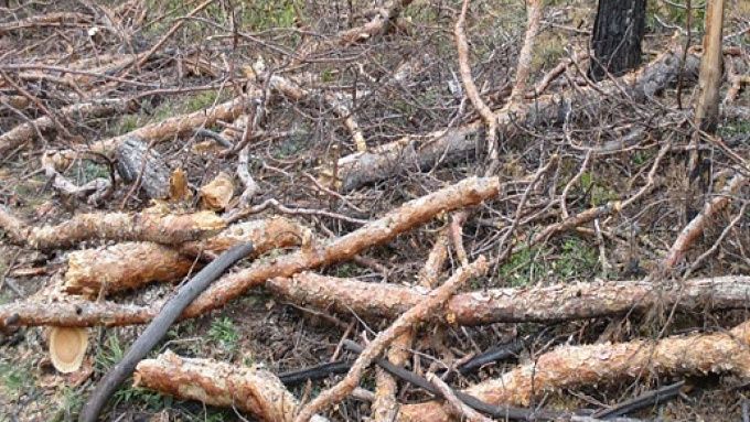 В Улан-Удэ готовятся к «огненному» периоду