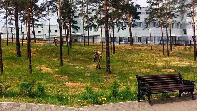 Улан-Удэ обработают от клещей