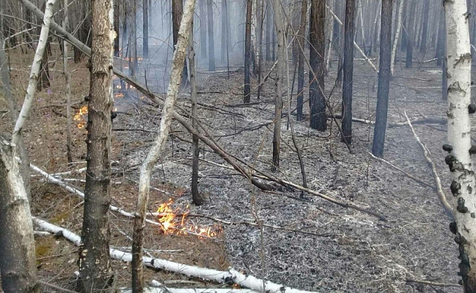 В Бурятии за сутки горело 117 гектаров леса