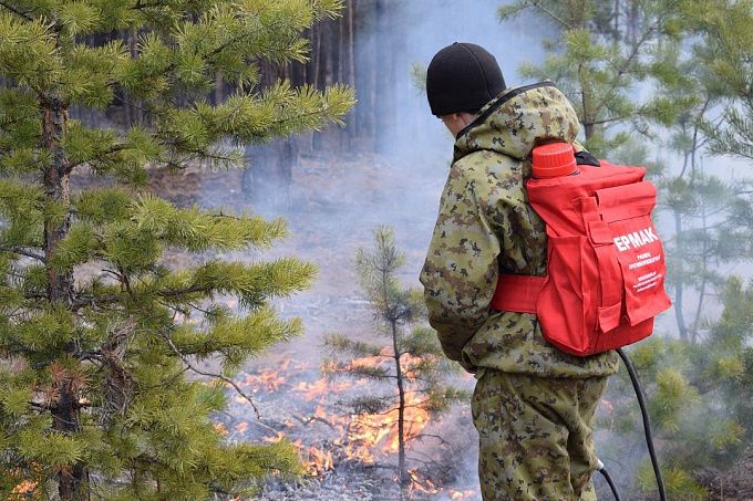 В Бурятии леса окутает дым, но жителей просят сохранять спокойствие