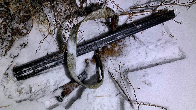 Двойное убийство произошло в районе Бурятии